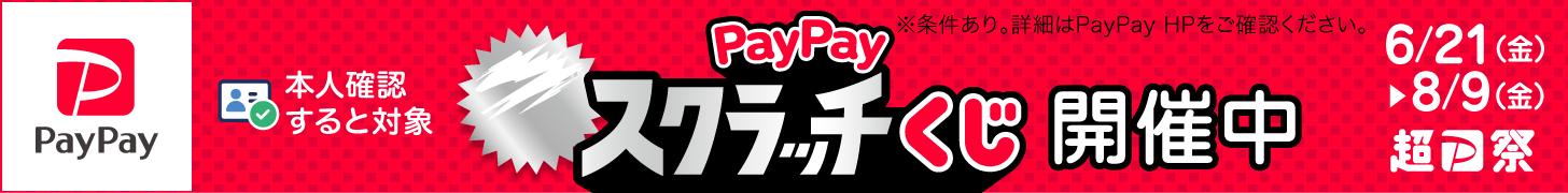 paypayキャンペーン(24.06～08)